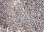 Pine Mulch